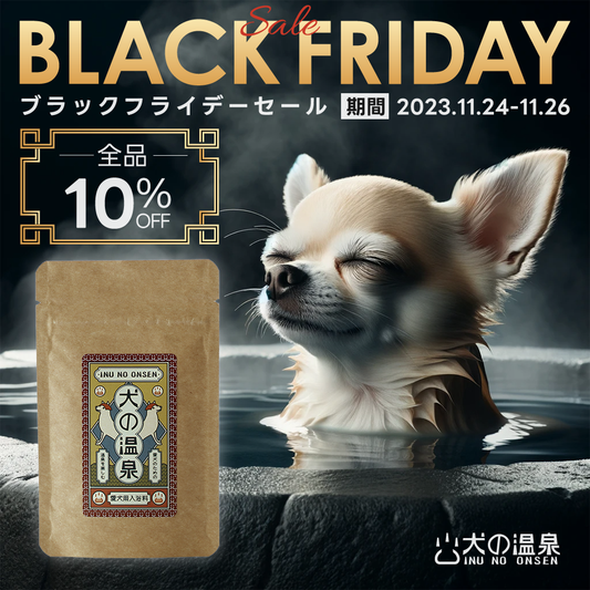 【終了しました】ブラックフライデーセール開催中!