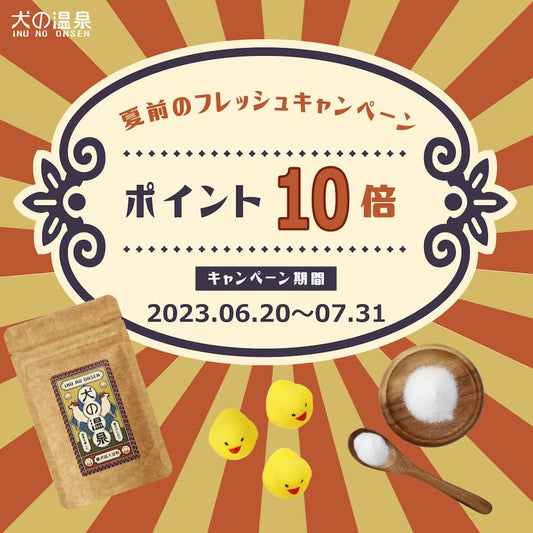 【終了しました】ポイント10倍!夏前のフレッシュキャンペーン!