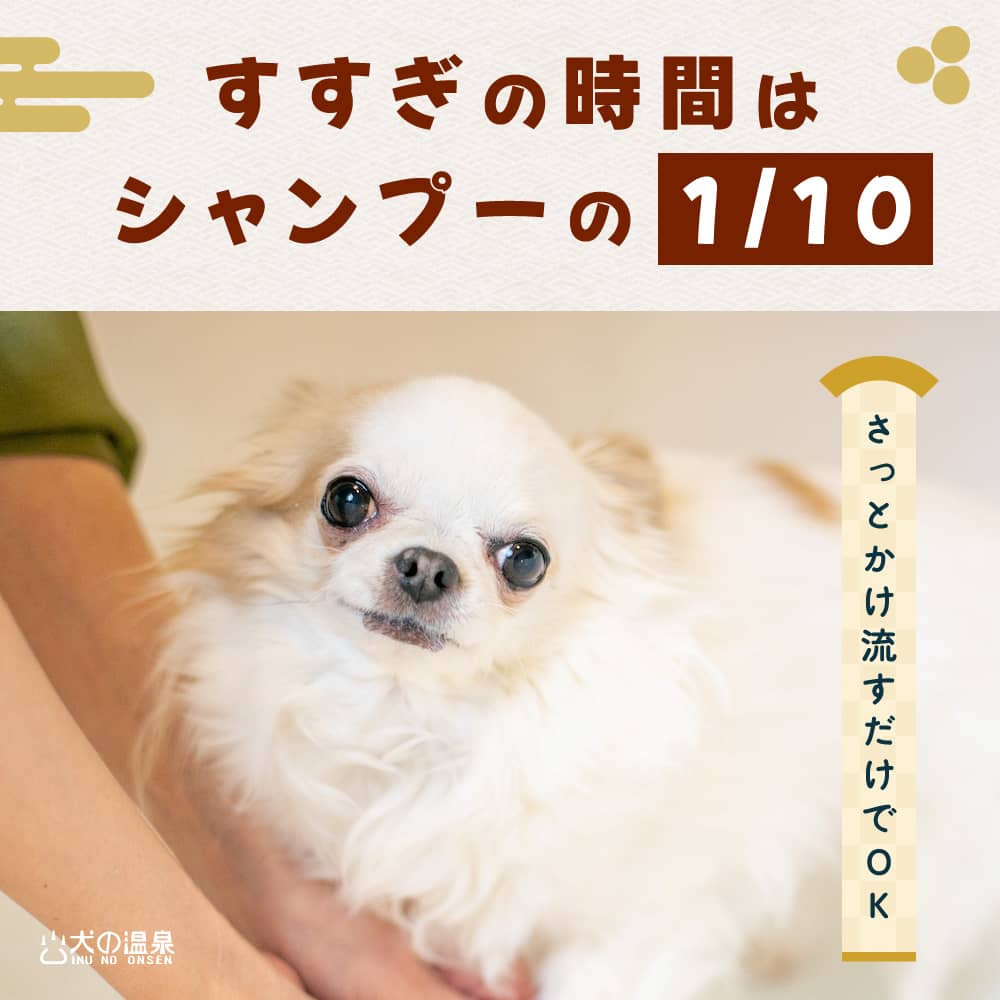 犬の温泉