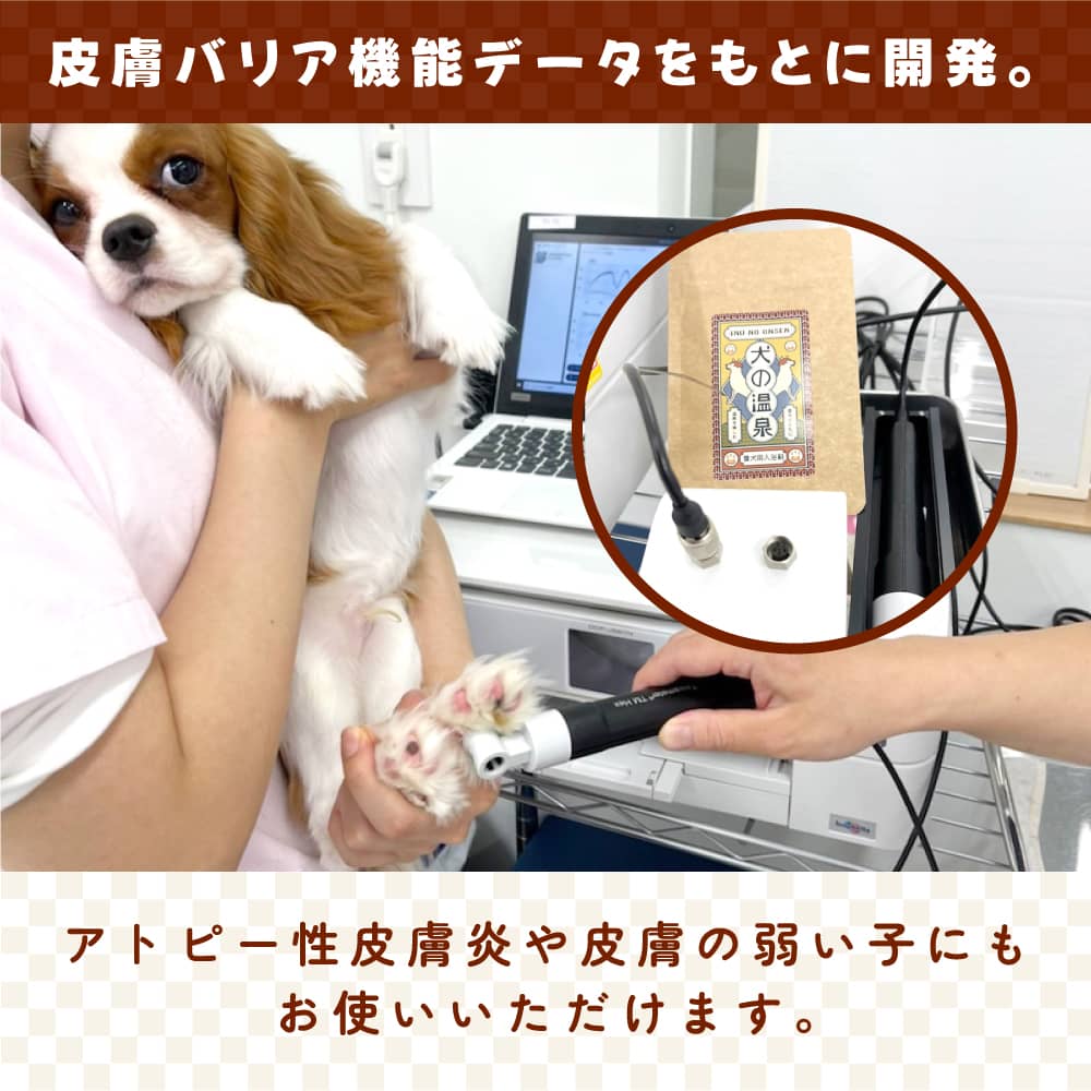 犬の温泉