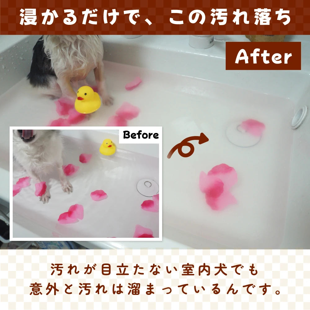 犬の温泉
