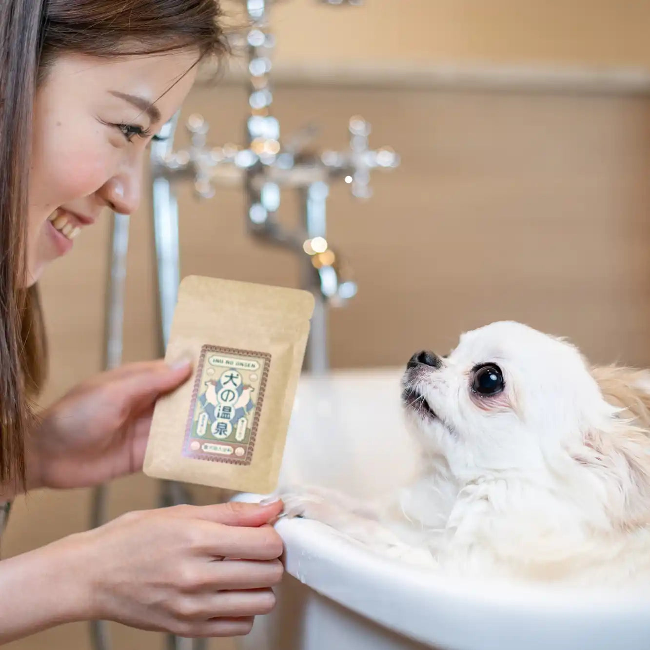 【定期便】犬の温泉はじめてコース