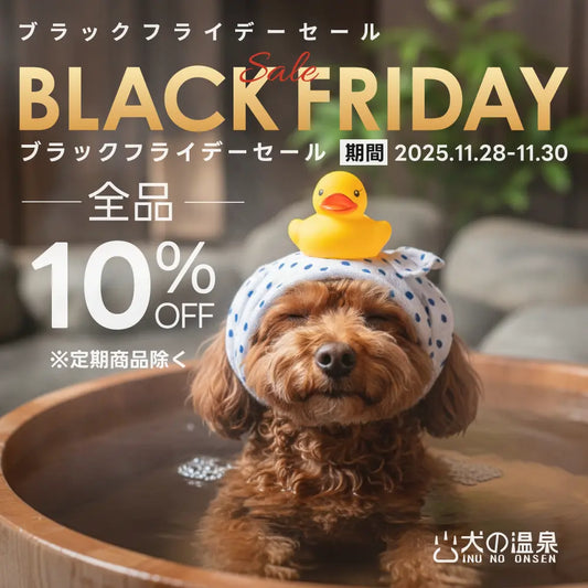【終了しました】ブラックフライデーセール2025開催中！10%OFF