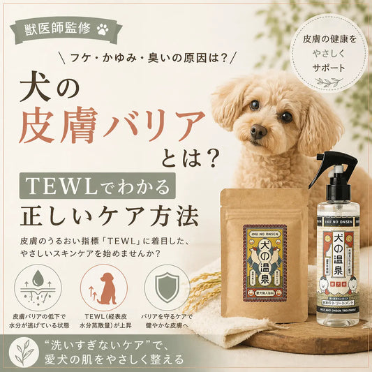 【獣医監修】犬のフケ・かゆみ・臭いの原因は皮膚バリア低下？TEWLでわかる正しいケア方法